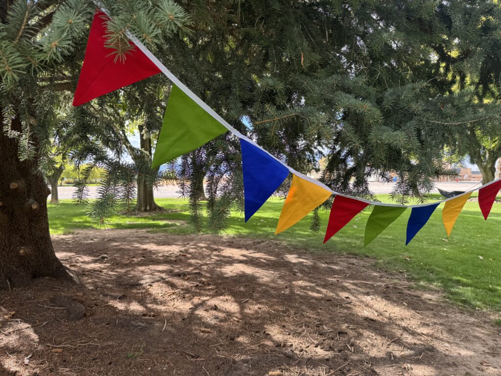 finished product in a tree